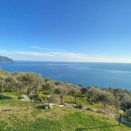 Pet Friendly In Pieve Ligure