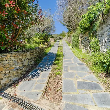 Awesome In With Wifi Pieve Ligure