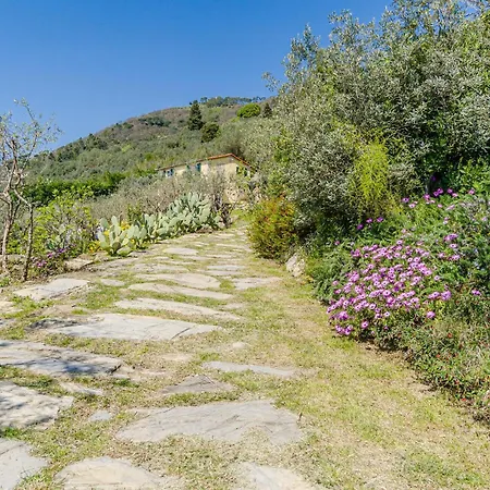 Vakantiehuis Pet Friendly In *